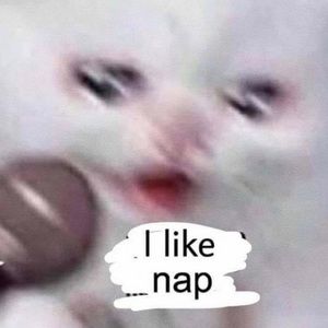 Meet your Posher, Rupali